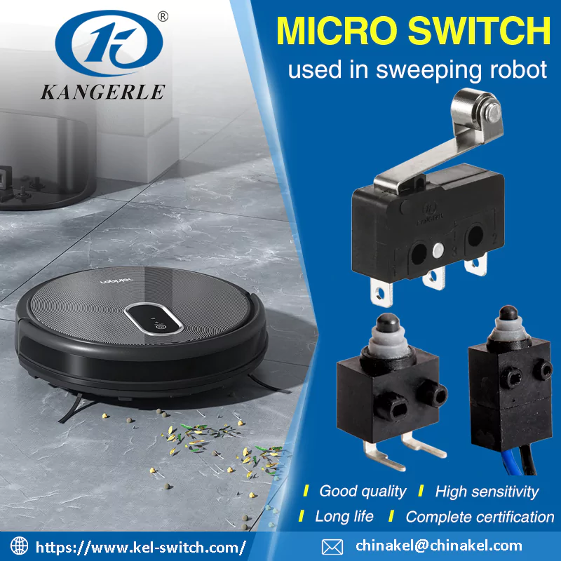 Micro Switch