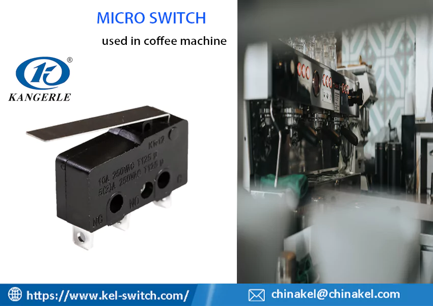 micro switch