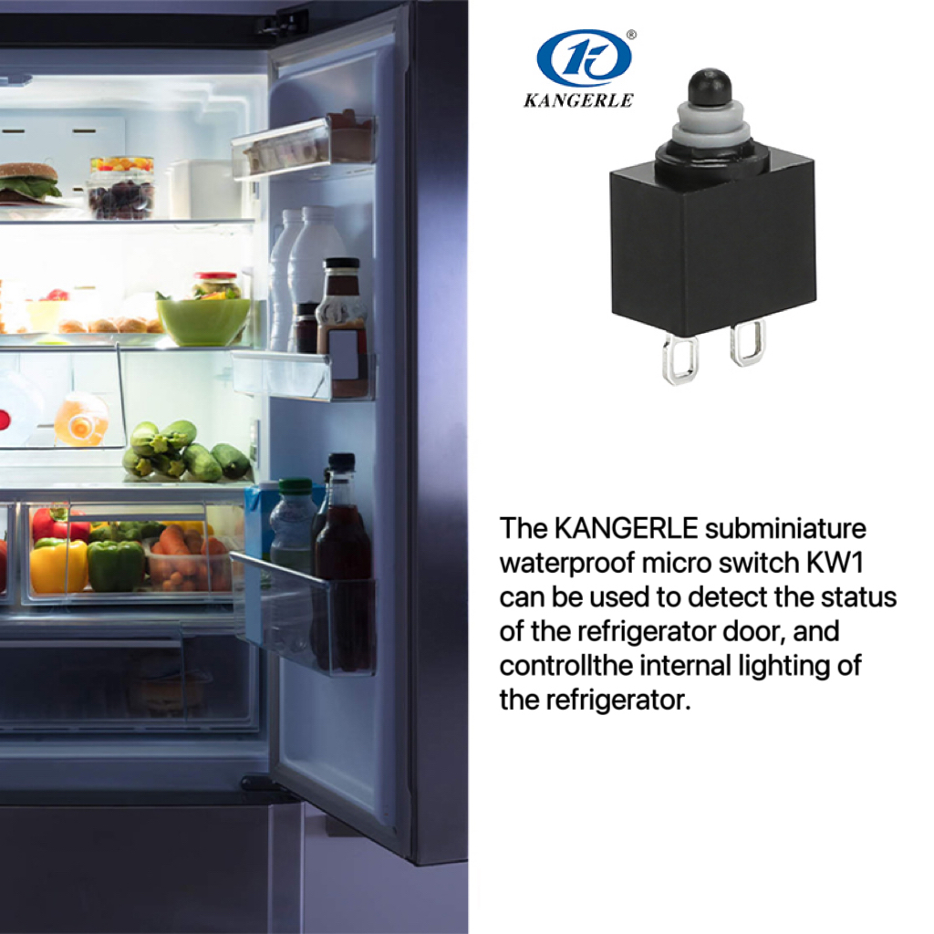 Refrigerator Micro Switch